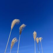 年末年始の休業日について